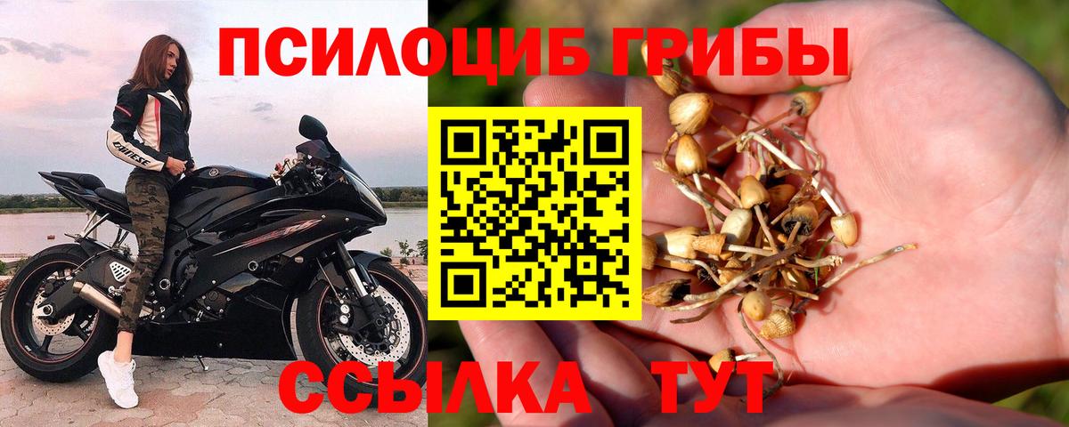 Дубна  Псилоцибиновые грибы Psilocybine cubensis  магазин    Вход с VPN 